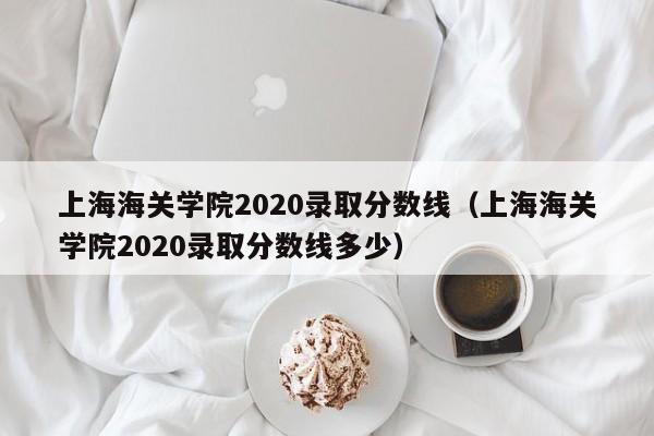 上海海关学院2020录取分数线（上海海关学院2020录取分数线多少）