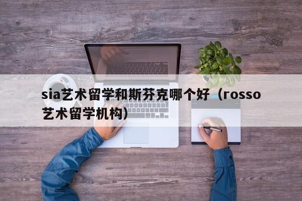 sia艺术留学和斯芬克哪个好（rosso艺术留学机构）