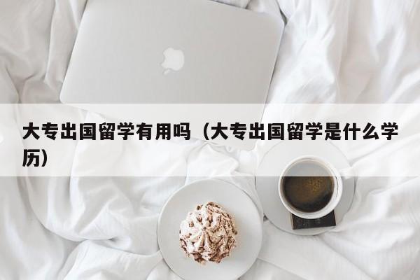 大专出国留学有用吗（大专出国留学是什么学历）