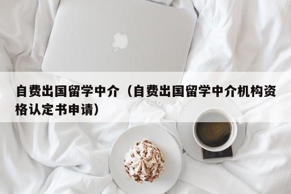 自费出国留学中介（自费出国留学中介机构资格认定书申请）