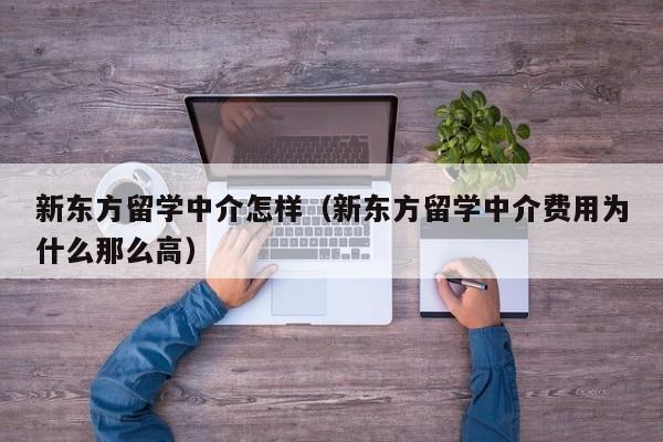 新东方留学中介怎样（新东方留学中介费用为什么那么高）