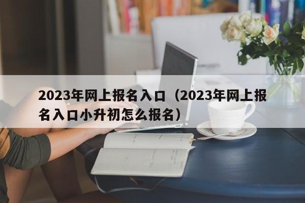 2023年网上报名入口（2023年网上报名入口小升初怎么报名）