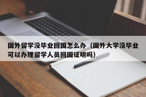 国外留学没毕业回国怎么办（国外大学没毕业可以办理留学人员回国证明吗）