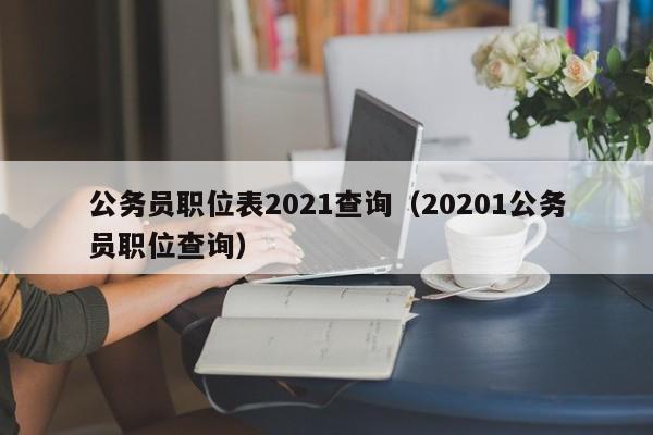 公务员职位表2021查询（20201公务员职位查询）